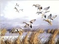 湖の上を飛ぶ鳥